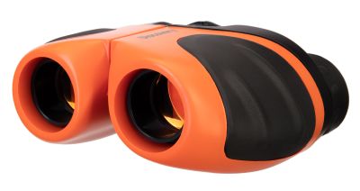 Бинокль Levenhuk Discovery Basics BBС 8x21