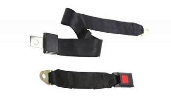 Ремень безопасности двухточечный для колясок Caterwil GTS арт. CtW28369