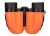 Бинокль Levenhuk Discovery Basics BBС 8x21
